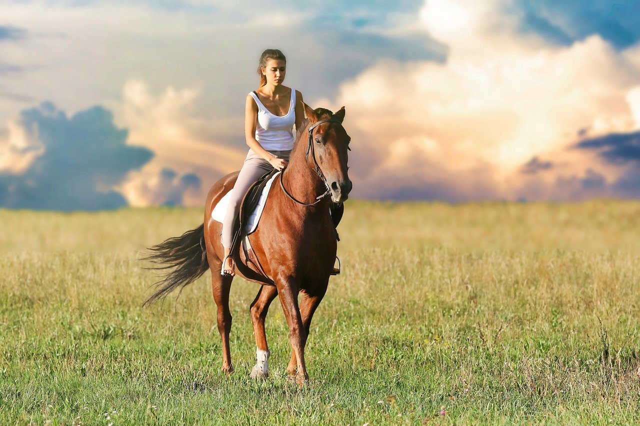 Wysłodki dla koni – co to jest i jakie ma zalety