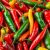 Kapsaicyna w papryczkach chili – zdrowotne właściwości i zastosowanie